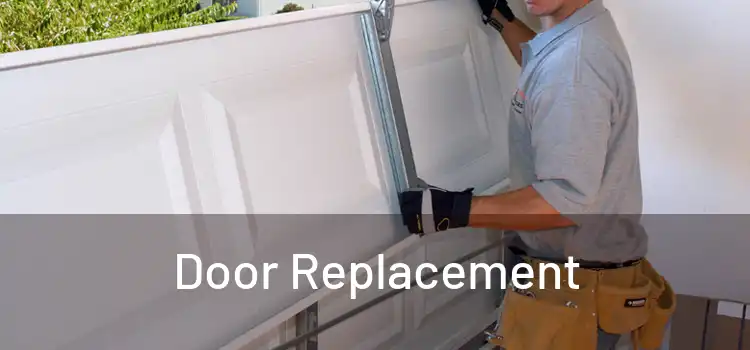  Door Replacement 