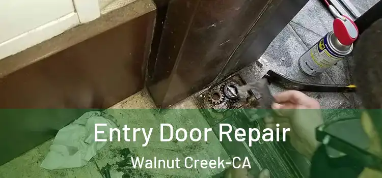 Entry Door Repair Walnut Creek-CA
