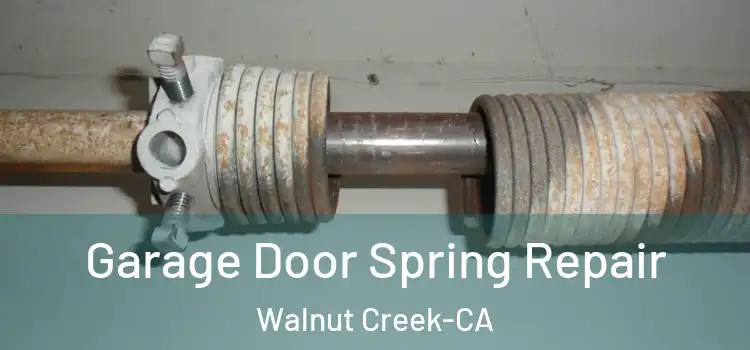  Garage Door Spring Repair Walnut Creek-CA