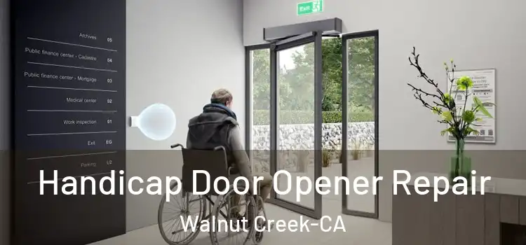  Handicap Door Opener Repair Walnut Creek-CA