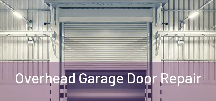  Overhead Garage Door Repair 