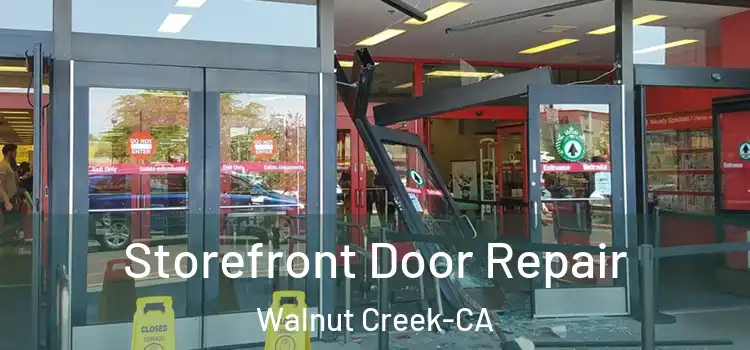  Storefront Door Repair Walnut Creek-CA